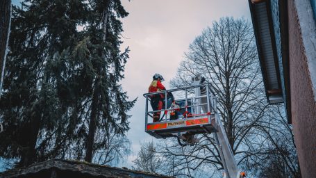 Baumpfleger in der Bühne