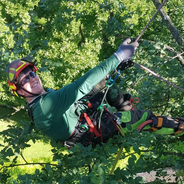 Lukas Heynen kletternd im Baum